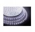Шнур светодиодный Дюралайт LDRP3W06-W 6м бел. SHlights 4690601005779 Шнур светодиодный Дюралайт LDRP3W06-W 6м бел. SHlights 4690601005779