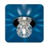 Светильник Ice 12 5 05 с огран. стеклом цветок хром G4 ИТАЛМАК IT8066 Светильник Ice 12 5 05 с огран. стеклом цветок хром G4 ИТАЛМАК IT8066