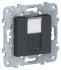Розетка компьютерная UNICA NEW RJ45 одиноч. кат.5е UTP антрацит SchE NU541154 Розетка компьютерная UNICA NEW RJ45 одиноч. кат.5е UTP антрацит SchE NU541154