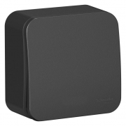 Выключатель 1-кл. ОП Blanca 10А IP20 (сх. 1) 250В с подсветкой с изолир. пластиной антрацит SE BLNVA101116 BLNVA101116