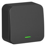 Переключатель проходной 1-кл. ОП Blanca 10А IP20 (сх. 6) 250В с подсветкой с изолир. пластиной антрацит SE BLNVA106116 BLNVA106116