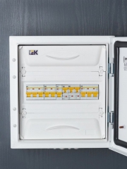 Выключатель автоматический модульный 2п C 10А 6кА ВА47-60M IEK MVA31-2-010-C MVA31-2-010-C