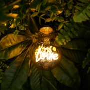 Лампа светодиодная филаментная Loft 271 A60 3Вт 2400К E27 Voltega 8580 8580