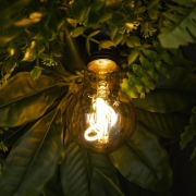 Лампа светодиодная филаментная Loft 271 A60 3Вт 2400К E27 Voltega 8582 8582