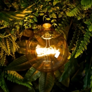 Лампа светодиодная филаментная Loft 271 G125 4Вт 2500К E27 Voltega 8555 8555