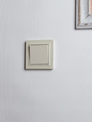 Выключатель 1-кл. СП BRITE ВС10-1-4-БрКр 10А самовозвратн. беж. IEK BR-V14-0-10-K10 BR-V14-0-10-K10