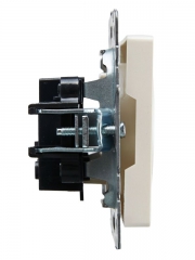 Розетка 1-м СП BRITE РС10-1-0-БрЖ 10А без заземл. без защ. шторок жемчуж. IEK BR-R10-10-K36 BR-R10-10-K36