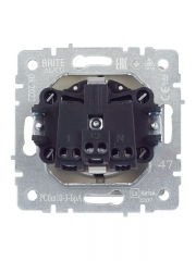 Розетка BRITE РСбш10-3-БрА 16А IP20 с заземл. защ. шторки с крышкой алюм. IEK BR-R16-16-K47 BR-R16-16-K47