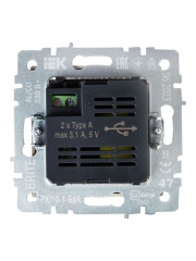 Розетка BRITE USB A+A 3.1А РЮ10-1-БрА алюм. IEK BR-U21-D31-K47 BR-U21-D31-K47