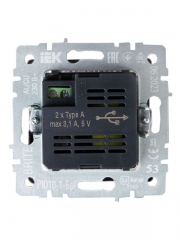 Розетка BRITE USB A+A 3.1А РЮ10-1-БрГ графит IEK BR-U21-D31-K53 BR-U21-D31-K53