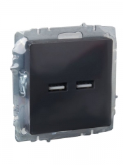 Розетка BRITE USB A+A 3.1А РЮ10-1-БрГ графит IEK BR-U21-D31-K53 BR-U21-D31-K53