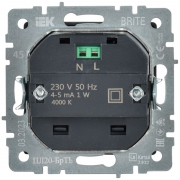 Подсветка светодиодная BRITE встраив. ПЛ20-БрТБ бр. IEK BR-FL20-K45 BR-FL20-K45