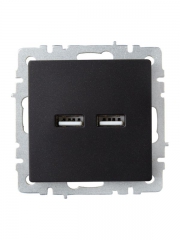 Розетка BRITE USB A+A 3.1А РЮ10-1-БрЧ черн. IEK BR-U21-D31-K02 BR-U21-D31-K02