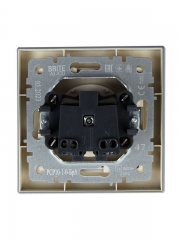 Розетка СП BRITE РСР10-1-0-БрА 10А в сборе без заземл. без защ. шторок алюм. IEK BR-R10-10-K47-F BR-R10-10-K47-F