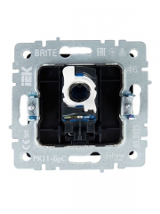 Розетка компьютерная СП RJ45 кат.6 BRITE РК11-БрС сталь IEK BR-K10-2-K46 BR-K10-2-K46