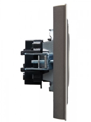 Розетка СП BRITE РСР10-1-0-БрС 10А в сборе без заземл. без защ. шторок сталь IEK BR-R10-10-K46-F BR-R10-10-K46-F