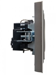 Розетка СП BRITE РСР14-1-0-БрС 16А в сборе с заземл. защ. шторки сталь IEK BR-R14-16-K46-F BR-R14-16-K46-F