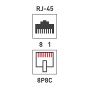 Розетка сетевая LAN на стену 2 гнездо 8Р8С (RJ-45) 5кат. Rexant 06-0105-C 06-0105-C