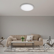 Светильник светодиодный бытовой настенно-потолочный PPB PLANET 60Вт с пультом 3000К-6500К DIM D550х75 IP20 JazzWay 5012134 5012134