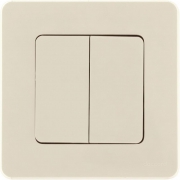 Выключатель 2-кл. Inspiria 10А IP20 250В 10AX механизм сл. кость Leg 673621 673621