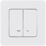 Выключатель 2-кл. Inspiria 10А IP20 250В 10AX с подсветкой/индикацией механизм бел. Leg 673630 673630