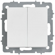 Выключатель 2-кл. СП BRITE ВС10-2-0-БрАБ 10А механизм арктич. бел. IEK BR-V20-0-10-K91 BR-V20-0-10-K91