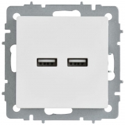 Розетка BRITE РЮ10-1-БрАБ USB A+A 3.1А механизм арктич. бел. IEK BR-U21-D31-K91 BR-U21-D31-K91