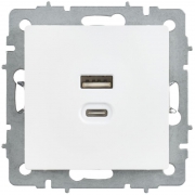 Розетка СП BRITE РЮ11-2-БрАБ USB A+C 45Вт высокоскор. заряд. арктич. бел. IEK BR-U22-045-K91 BR-U22-045-K91