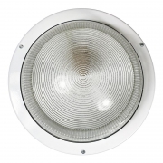 Светильник НПП 03-100-001 