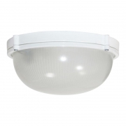 Светильник НПП 03-100-009 