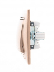 Выключатель 1-кл. СП Mira 10А IP20 со вставкой свет. корич. перламутр. LEZARD 701-3131-100 701-3131-100