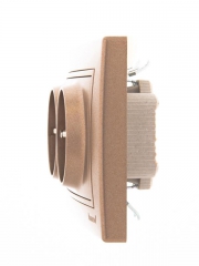 Розетка 2-м СП Mira 16А IP20 с заземл. со вставкой керамика свет. корич. перламутр. LEZARD 701-3131-127 701-3131-127