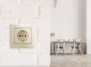 Механизм розетки 1-м СП Valena с заземл. сл. кость Leg 774320 774320