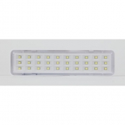 Светильник светодиодный DBA-101-0-20 30LED 5ч IP20 аварийный непостоянный Эра Б0044394 Б0044394