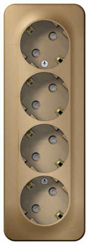 Розетка 4-м ОП Blanca 16А IP20 250В с заземл. защ. шторки с изолир. пластиной титан SE BLNRA011414 BLNRA011414