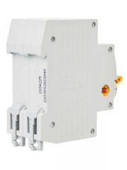 Выключатель нагрузки ВН-32 40А/2П IEK MNV10-2-040 MNV10-2-040