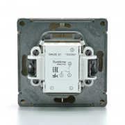 Выключатель 2-кл. ArtGallery (сх. 5) 10AX механизм шампань SE GAL000551 GAL000551