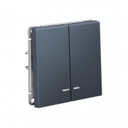 Выключатель 2-кл. ArtGallery (сх. 5а) 10AX с подсветкой механизм грифель SE GAL000753 GAL000753