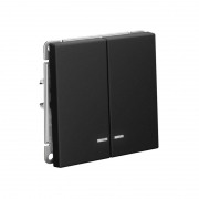 Выключатель 2-кл. ArtGallery (сх. 5а) 10AX с подсветкой механизм карбон SE GAL001053 GAL001053