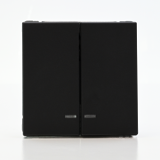 Выключатель 2-кл. ArtGallery (сх. 5а) 10AX с подсветкой механизм карбон SE GAL001053 GAL001053