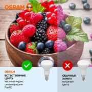 Лампа светодиодная LED Value LV R50 60 7SW/865 7Вт рефлектор матовая E14 230В 10х1 RU OSRAM 4058075581753 4058075581753