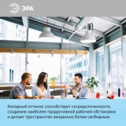 Лампа светодиодная A65-25W-860-E27 грушевидная 2000лм Эра Б0035336 Б0035336