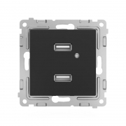 Розетка 2-м USB СП Pixel тип A+A 5В 1х2.1А 2х1.05А механизм карбон TOKOV ELECTRIC TKE-PX-2USB-C14 TKE-PX-2USB-C14