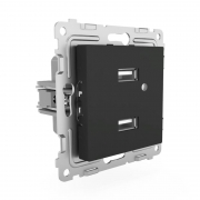 Розетка 2-м USB СП Pixel тип A+A 5В 1х2.1А 2х1.05А механизм карбон TOKOV ELECTRIC TKE-PX-2USB-C14 TKE-PX-2USB-C14