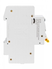 Выключатель автоматический дифференциального тока 2п C 25А 30мА тип A 4.5кА АД-12М KARAT IEK MAD12-2-025-C-030 MAD12-2-025-C-030