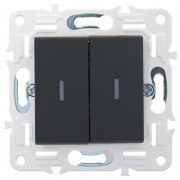 Выключатель проходной 2-кл. SKANDY 10А SK-V10G с индикацией графит IEK SK-V22-1-10-K53 SK-V22-1-10-K53