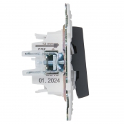 Выключатель проходной 2-кл. SKANDY 10А SK-V10G с индикацией графит IEK SK-V22-1-10-K53 SK-V22-1-10-K53