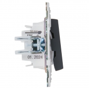 Выключатель 2-кл. SKANDY 10А SK-V09G с индикацией графит IEK SK-V20-1-10-K53 SK-V20-1-10-K53