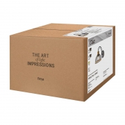 Светильник Caz 1х60Вт E27 IP20 бра настен. Freya FR5527WL-01BBZ FR5527WL-01BBZ