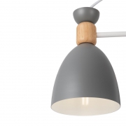 Светильник Delia 60Вт E27х5 IP20 потолочн. Freya FR5033CL-05W FR5033CL-05W